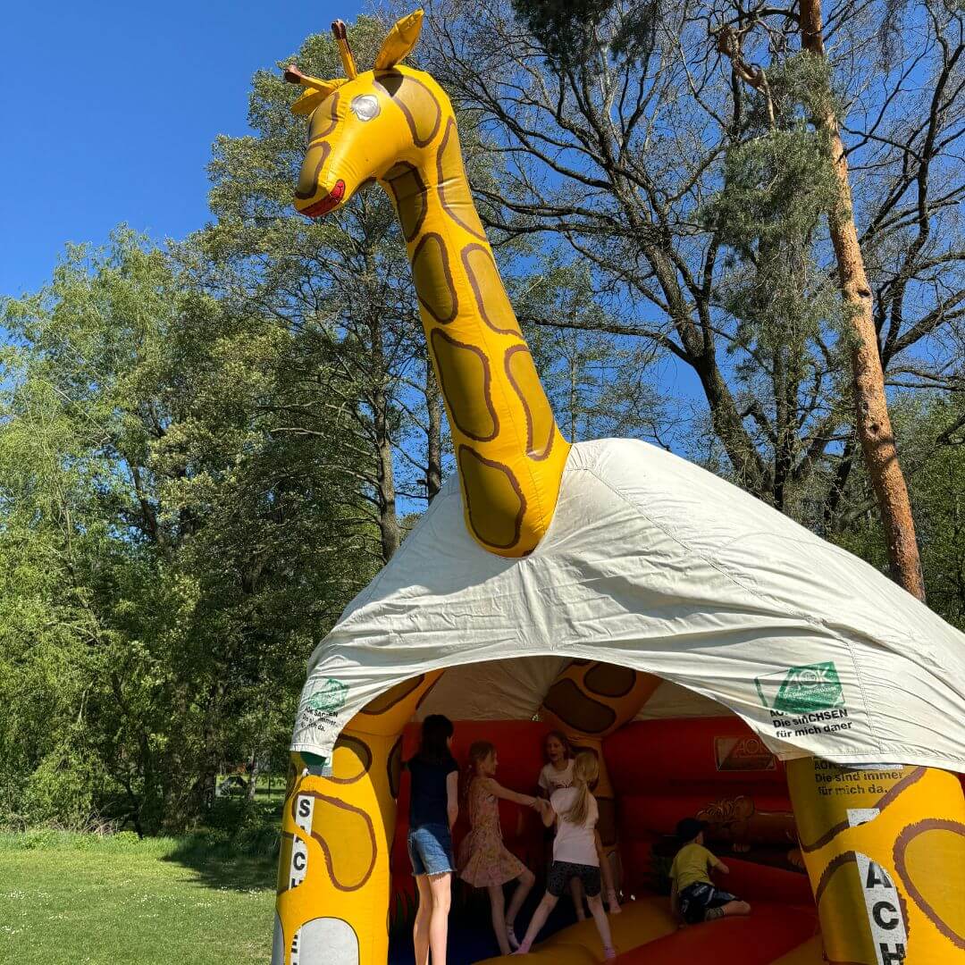 Hüpfburg "Giraffe"